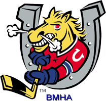 Barrie Minor Hockey